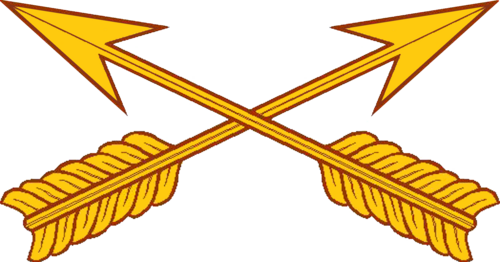 US Army Green Berets (Special Forces)
