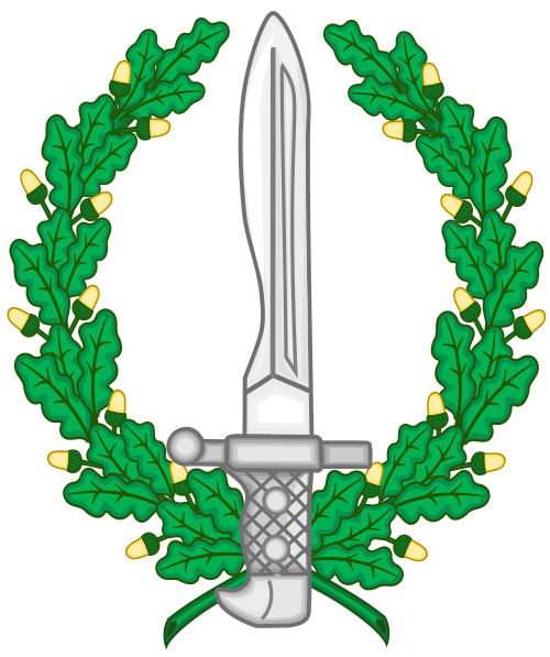 GOE (Grupo de Operaciones Especiales)