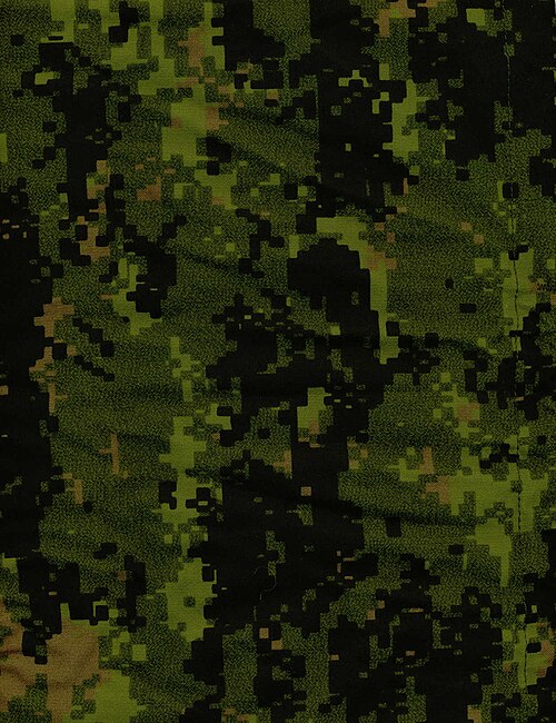 CADPAT